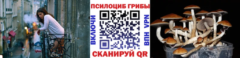 Галлюциногенные грибы ЛСД  Поронайск 